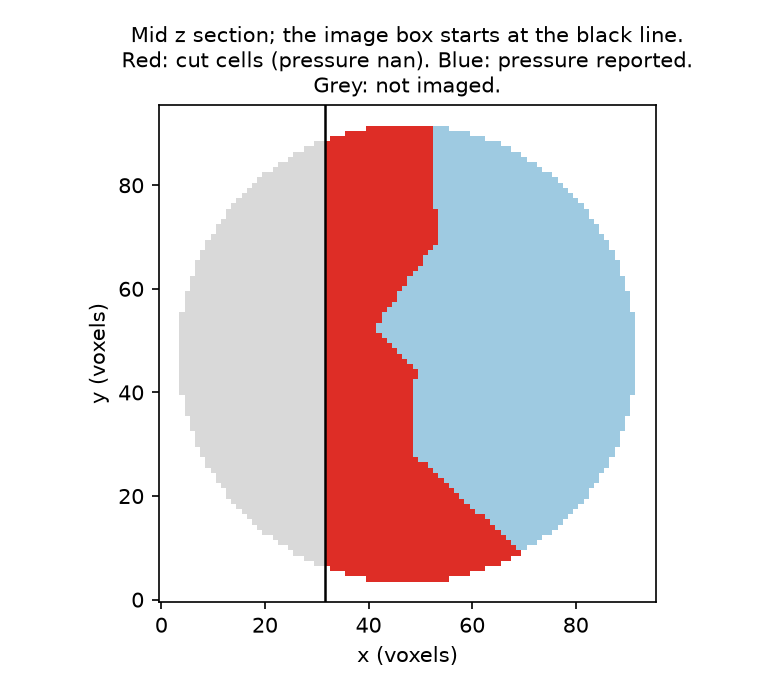 The middle z section of the generated foam: the image box starts at the black line; the cut cells, whose pressures are nan, in red.