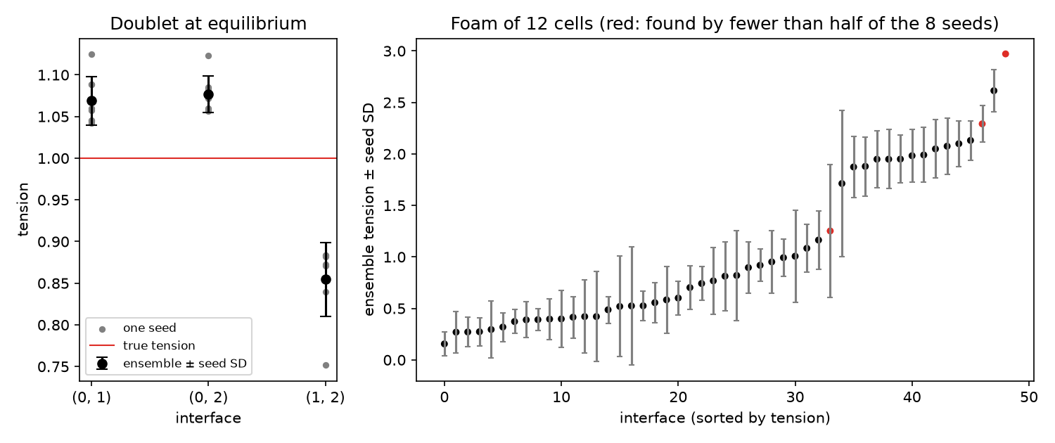 Left: the doublet's three tensions at each of the 8 seeds (grey) and their ensemble with its seed SD (black); the true tension is 1 (red line). The error is two to three times the spread. Right: the foam's 49 ensemble tensions with their seed SD; in red the interfaces found by fewer than half of the seeds.