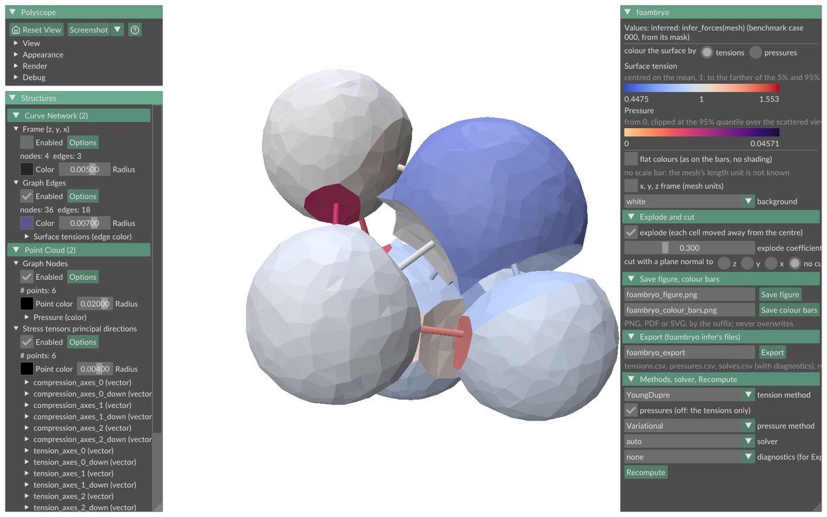 Benchmark case 000 in foambryo's Polyscope window